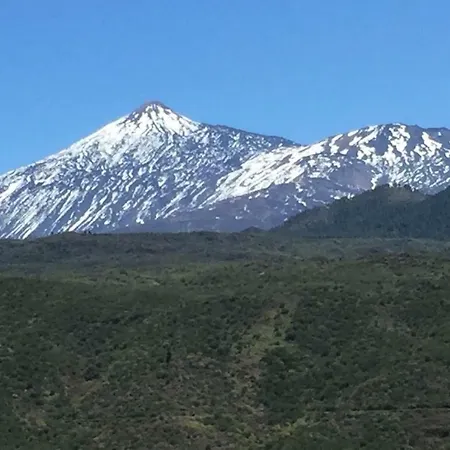 Laika Los Cristianos (Tenerife)