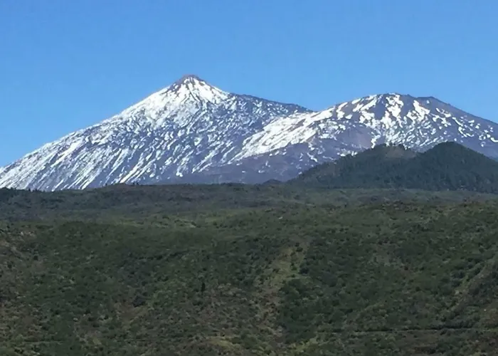 Laika Los Cristianos (Tenerife)